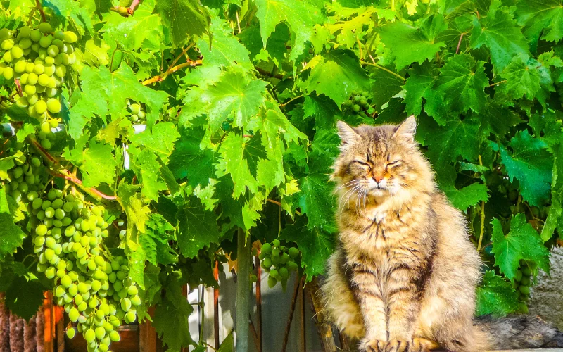 Examples of HDR Photos, HDR Photography, What is HDR photography, HDR photo examples