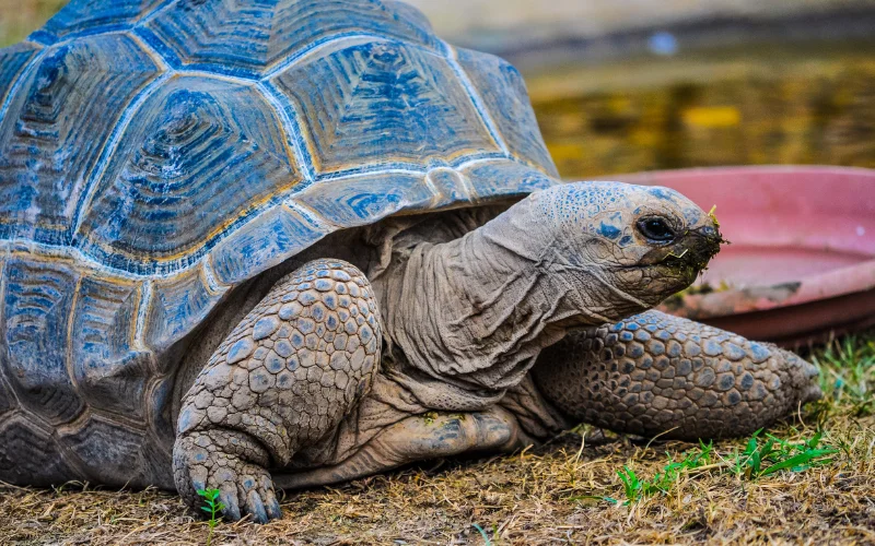 Examples of HDR Photos, HDR Photography, What is HDR photography, HDR photo examples