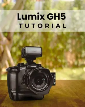 lumix gh5 tutorial, panasonic gh5 tutorial, lumix camera tutorial,Photo Essentials, photography video tutorials ,digital photography courses