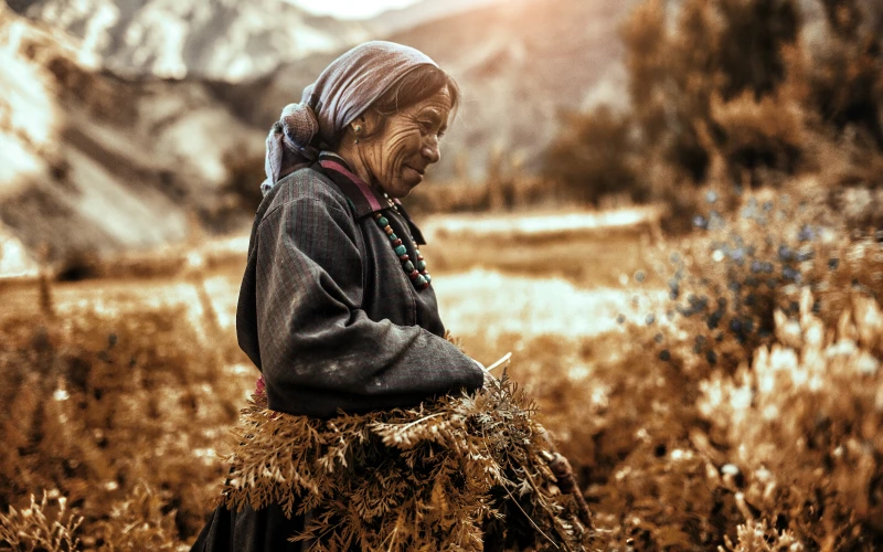 editing portraits in lightroom after, editing landscape photos in photoshop, learn how to edit photos professionally