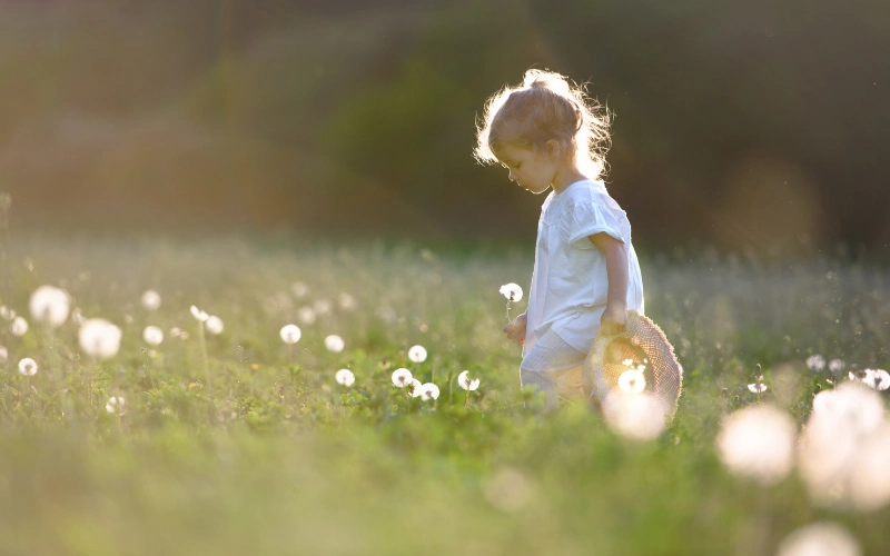 warm haze sun overlay before