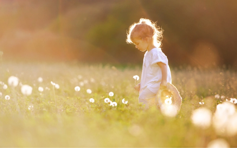 warm haze sun overlay after