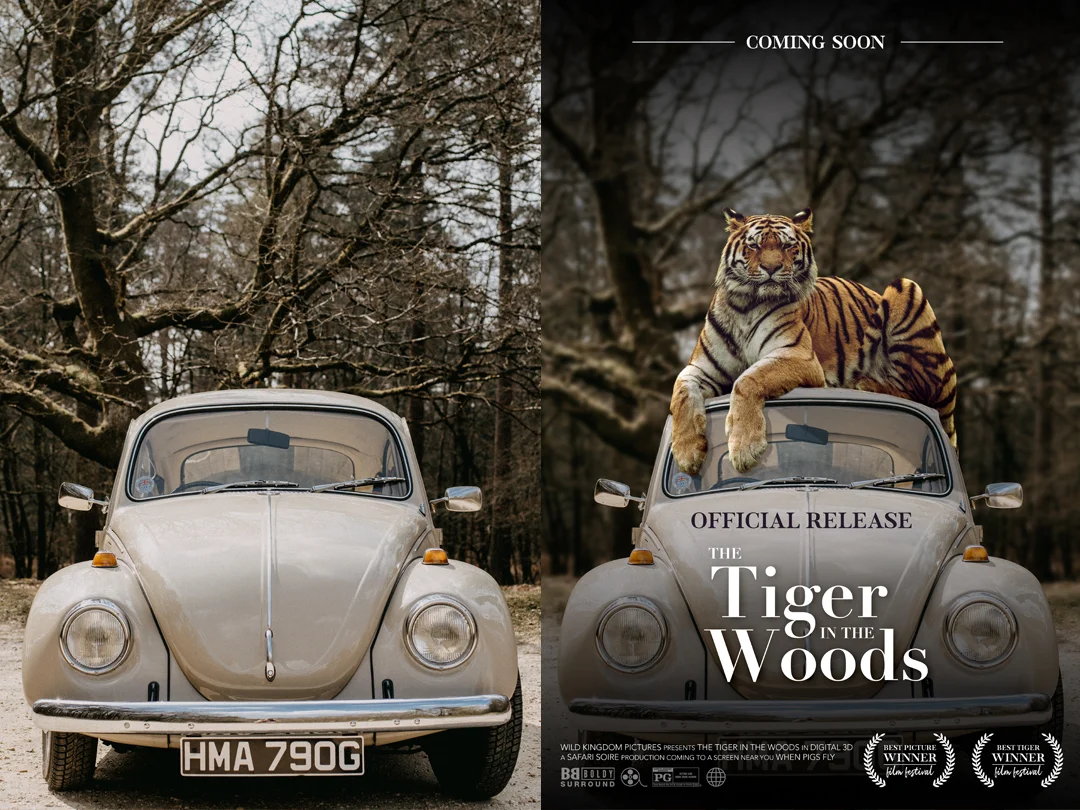 photoshop classes for beginners, photoshop essentials course, photoshop essentials training