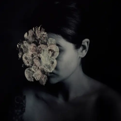 learn hybrid photography to capture both photos and videos for powerful storytelling