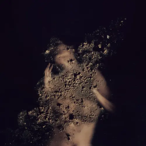 explore therapeutic photography courses to build self-awareness and reduce stress through creativity