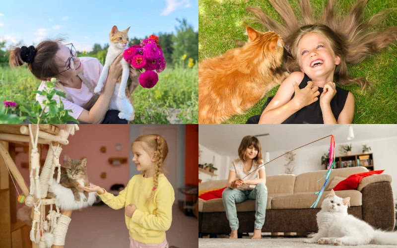 Cat Photoshoot with Owner - candid playing with cat photos