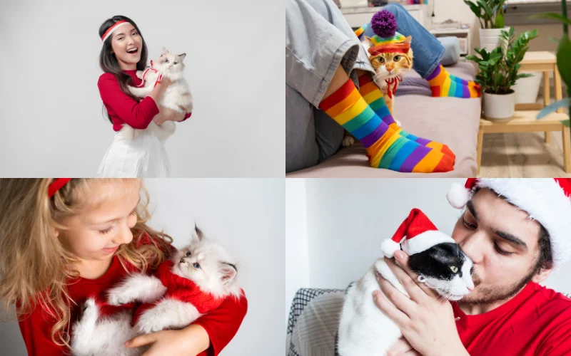 Cat Photoshoot with Owner - wear matching outfits with cat