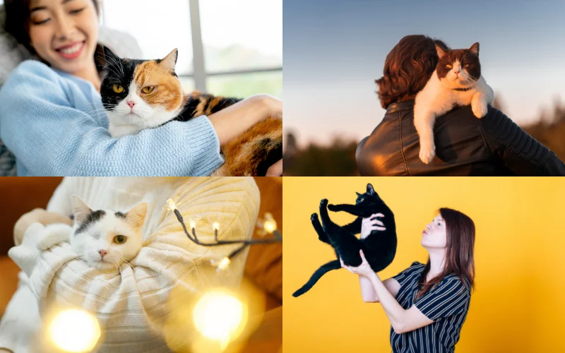 Cat Photoshoot with Owner - holding your cat