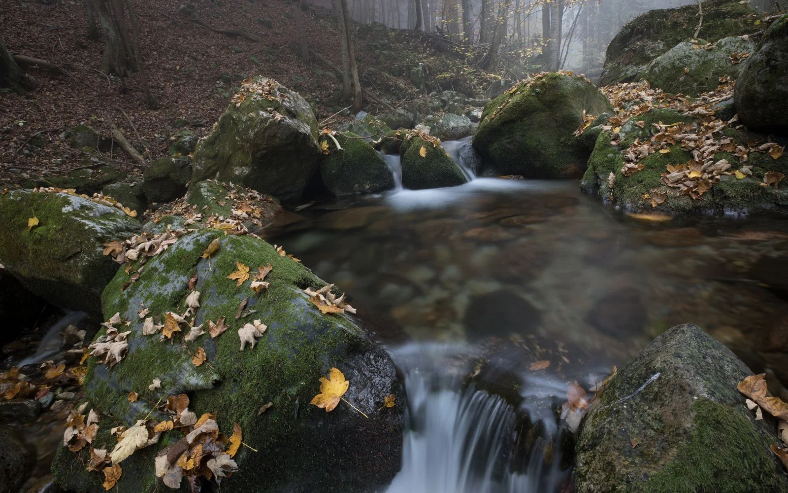 Landscape before step by step photo editing with harsh light and no depth