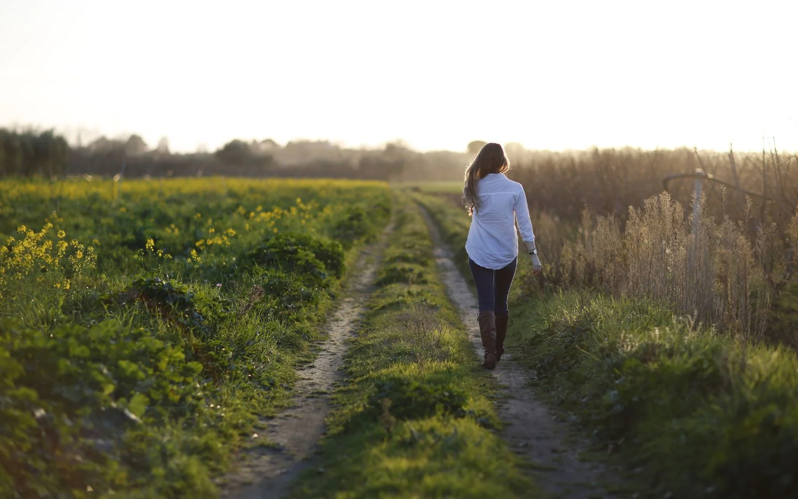 Pathway landscape before photo editing tutorial with no visual direction