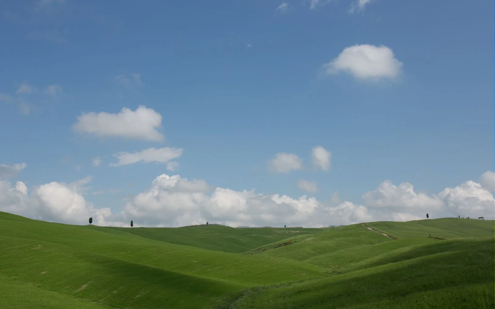 Flat landscape before photo editing method with dull colors and exposure issues