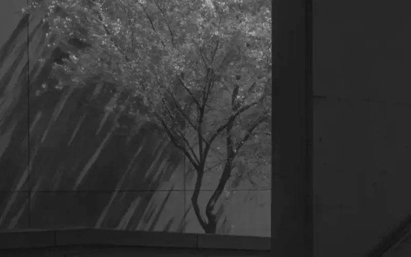 create compelling black and white photographs every time