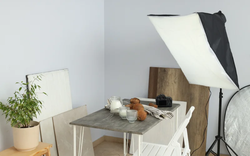 cat photoshoot at home - use DIY light bounce