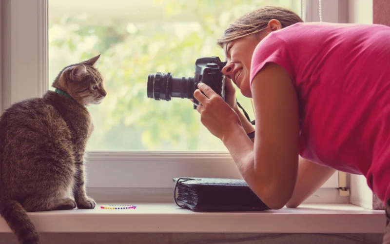 Cat Photoshoot at Home - Pick a bright spot