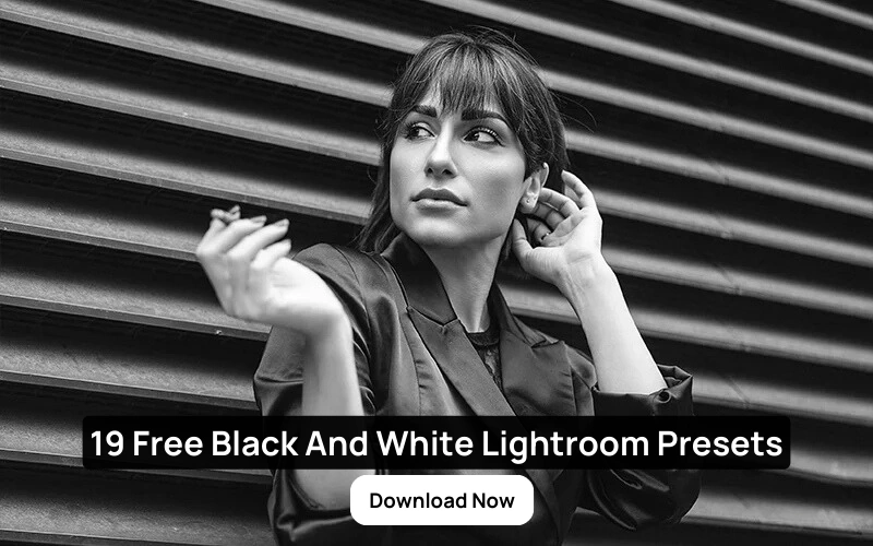 19 free black and white lightroom presets