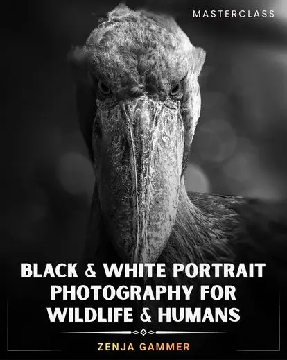 Dramatic black and white photo editing in Photoshop portrait transformation