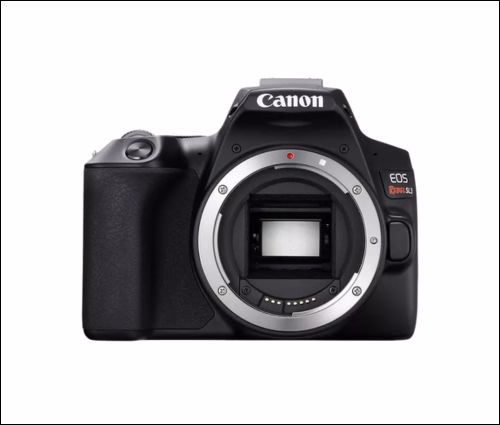 Canon EOS Rebel SL3 - Best DSLR for beginners