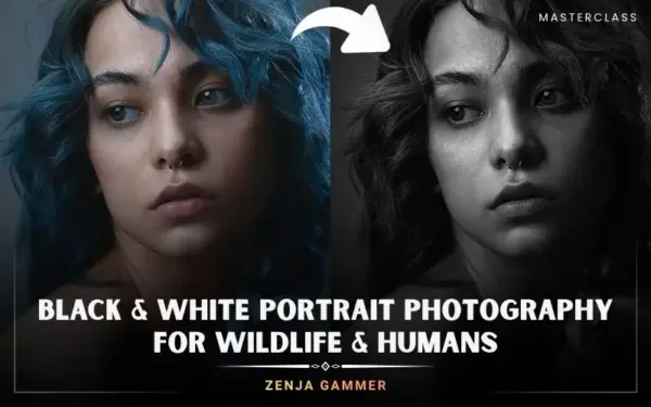 Black & White Portrait Photography For Wildlife & Humans