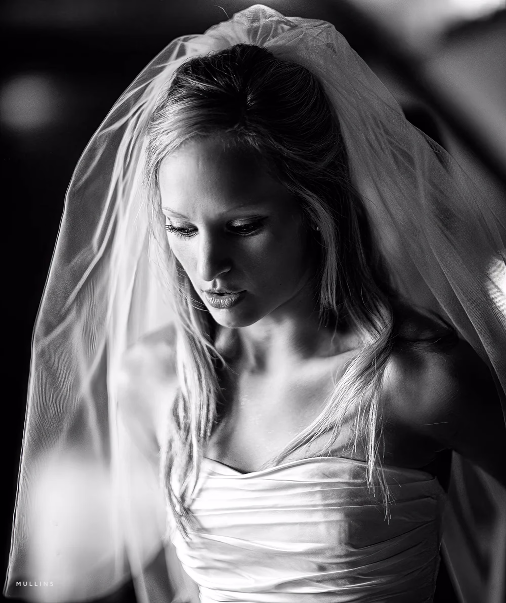 black and white bridal potrait