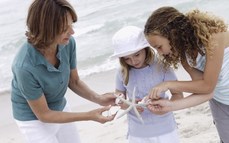 A family walking and collecting seashells