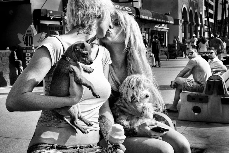 Couple relaxing with their dogs in a candid street photography moment.