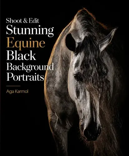 Equine Black Backgrounds Portraits Course Feaured Image