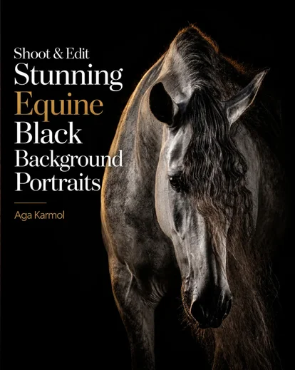Equine Black Backgrounds Portraits Course Feaured Image