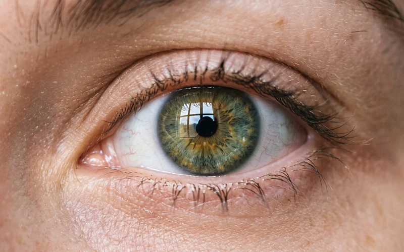 Close-up of a green eye with a window reflected in the iris
