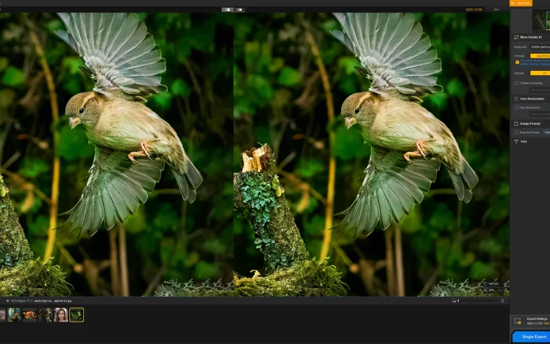ai video enhancer, AI Video Denoise