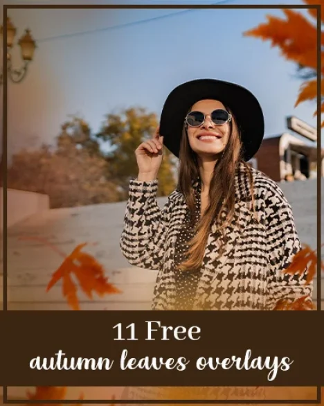 autumn leaves overlays