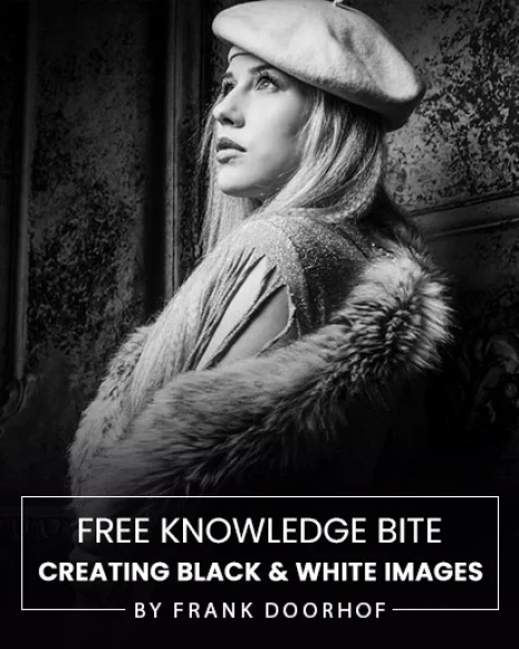 free-knowledge-bite-b&w-feature-image