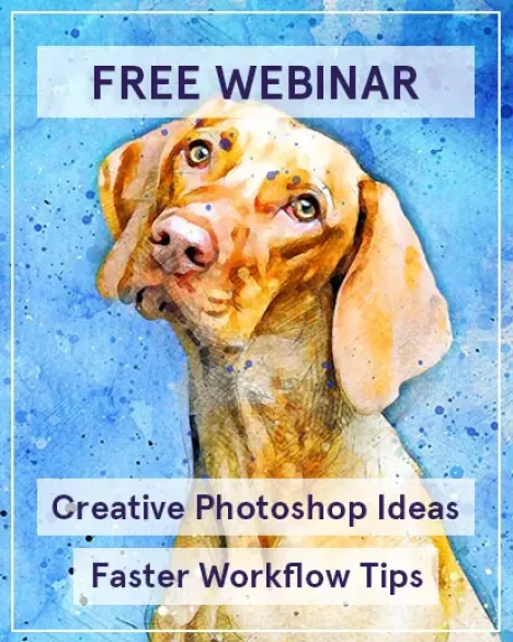 free webinar by Gavin Philips